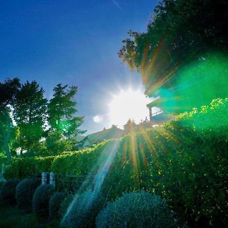 La Vida Loca Villa Seget Vranjica Esterno foto