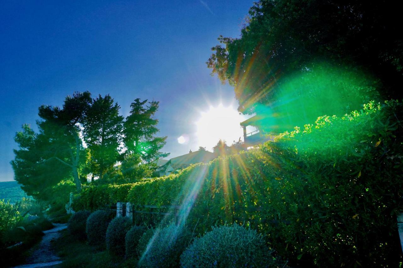 La Vida Loca Villa Seget Vranjica Esterno foto